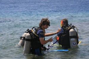 Diving in the Red Sea