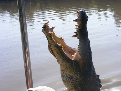 Adventure in Australia