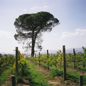 Yarra Valley, Australia