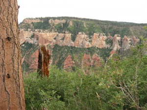 Grand on Canyon Tour