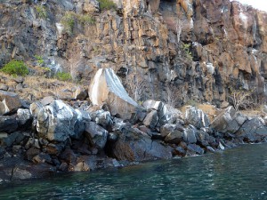 Galapagos Islands