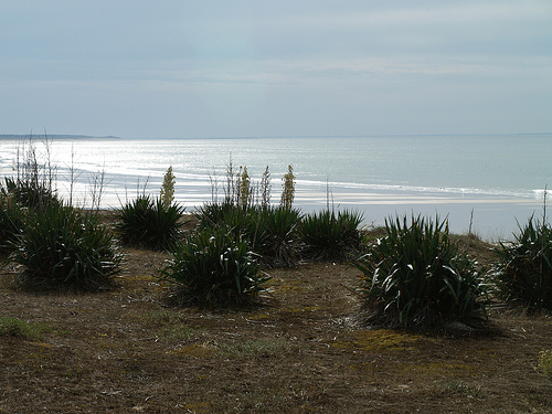 Holiday Longeville,Vendee,France