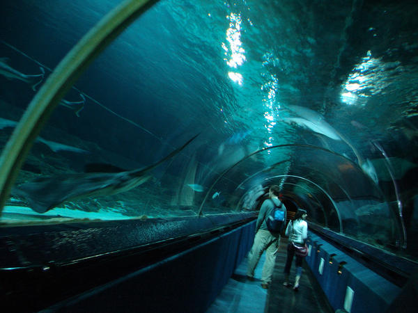 200510 underwater tunnel