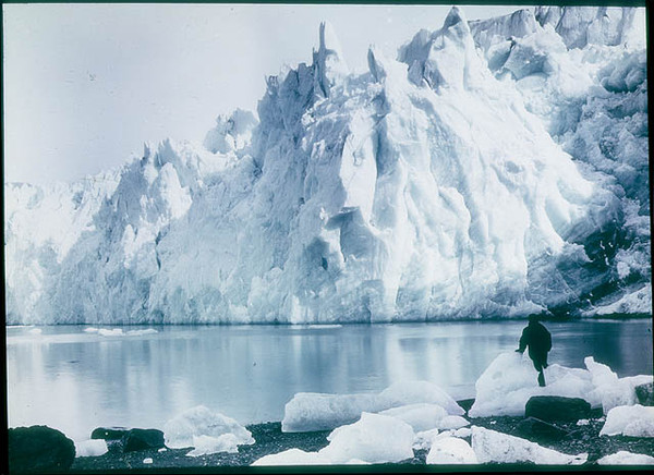 New Fortuna Glacier, 1915 / photographed by Frank Hurley