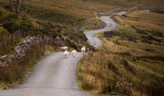 Brecon Beacon English roads